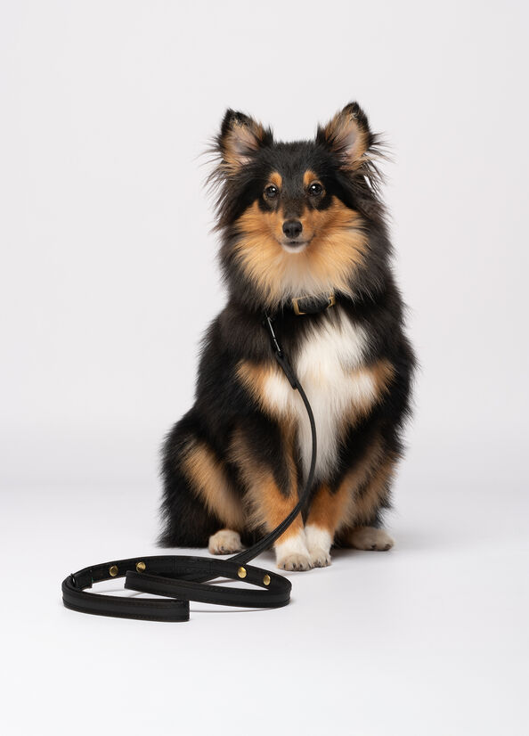 Guinzaglio Liu Jo Pets