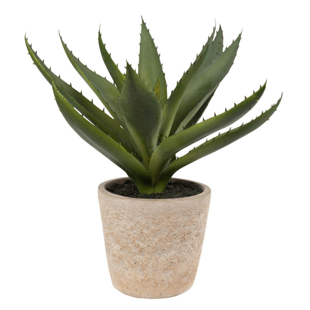- Aloe Vera artificielle et pot en ciment