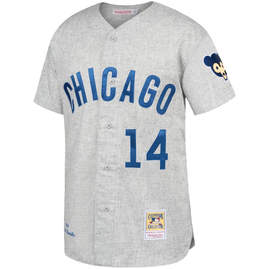 Ernie Banks Chicago Cubs Gray Away 1969 Authentic Jersey - Gray
