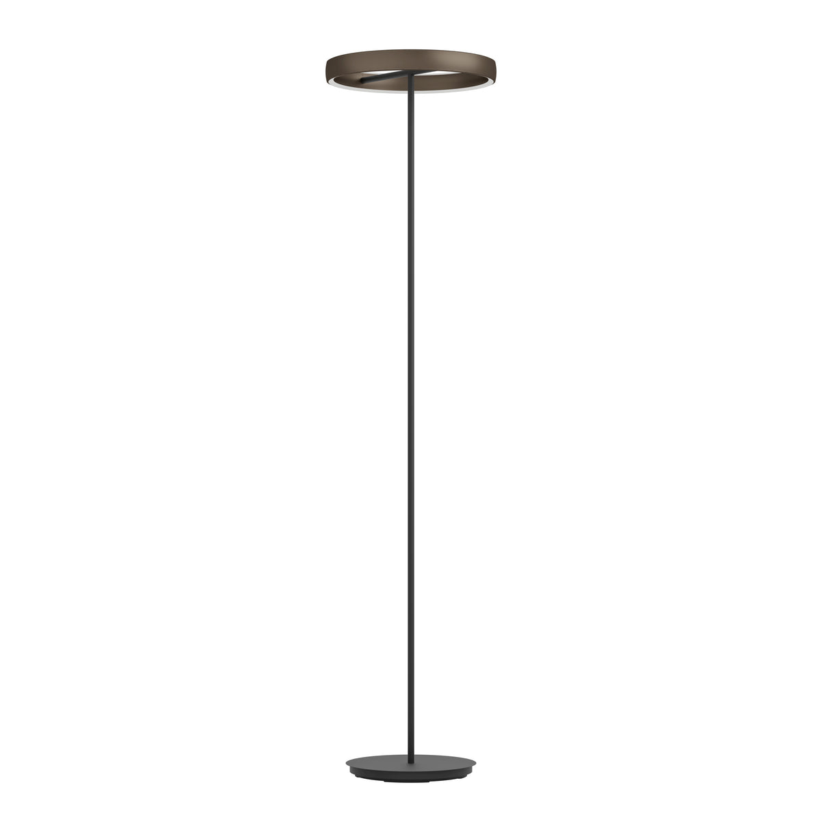 Stars of Light Vloerlamp Trabuco