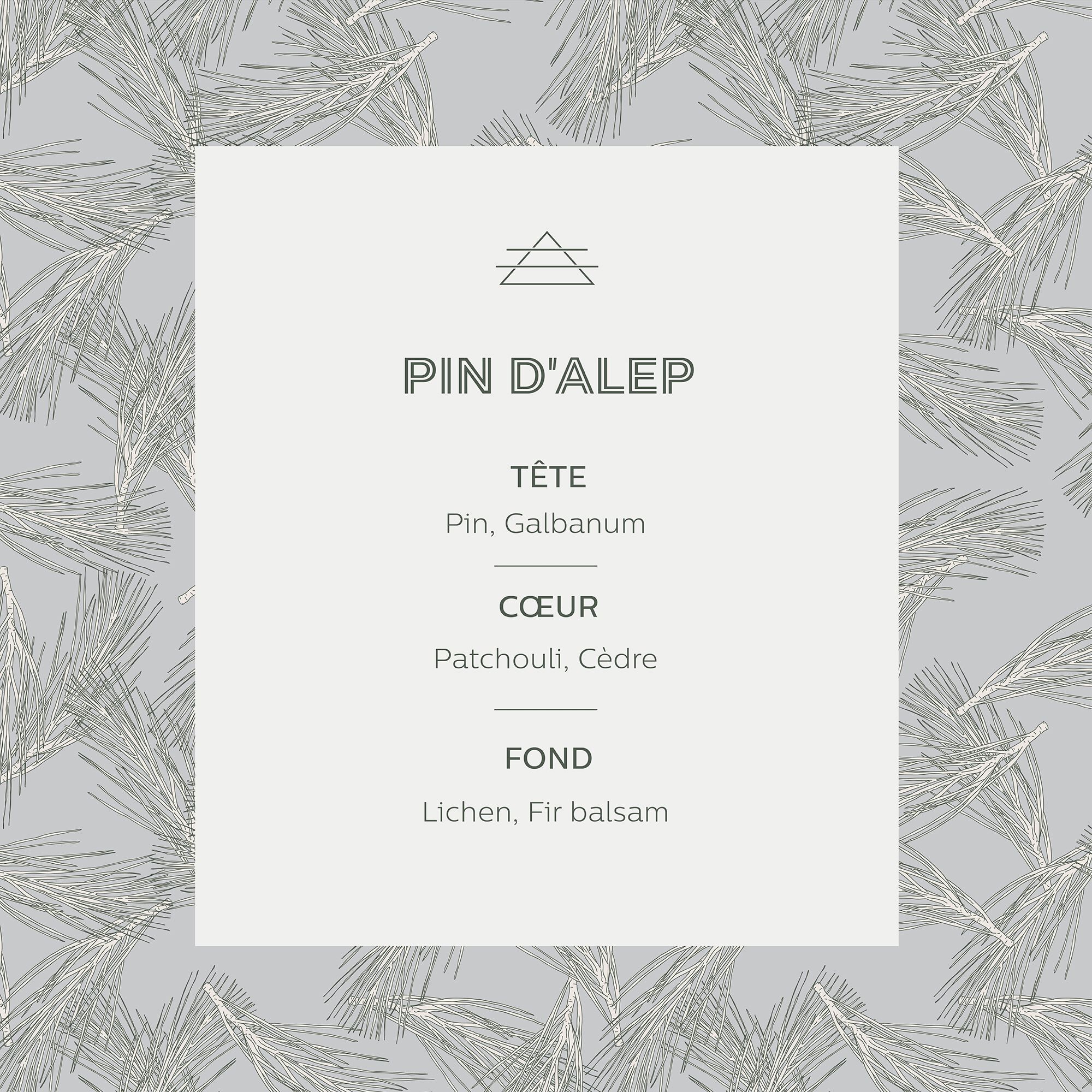 SIGNATURE - Diffuseur de parfum senteur Pin d'Alep 100ml