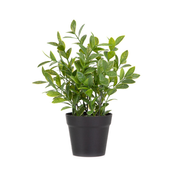 SZTUCZNA ROŚLINA DONICZKOWA B2 ZAMIONA ESSENTIALS B2 ZAMIONA 23 cm HOMLA
