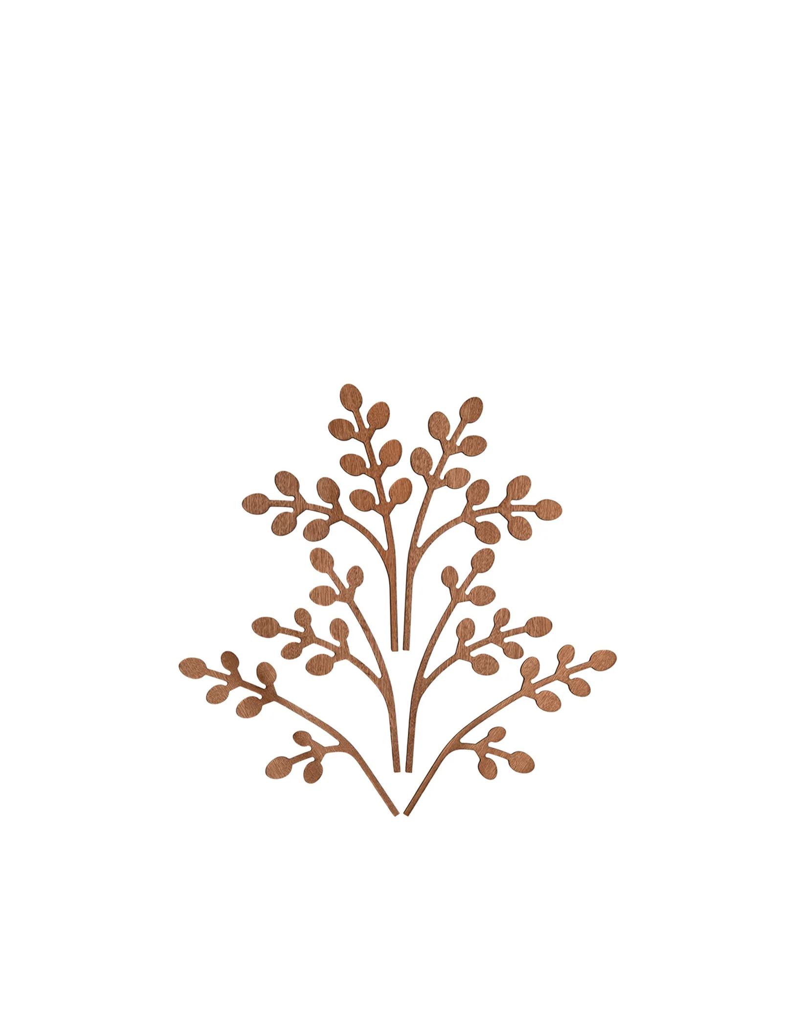 The Five Seasons