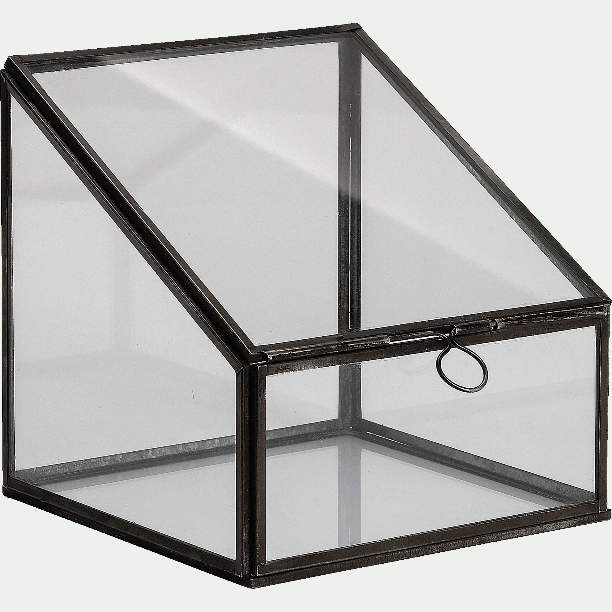 DORIAN - Terrarium en verre L15xl15xH15cm - transparent