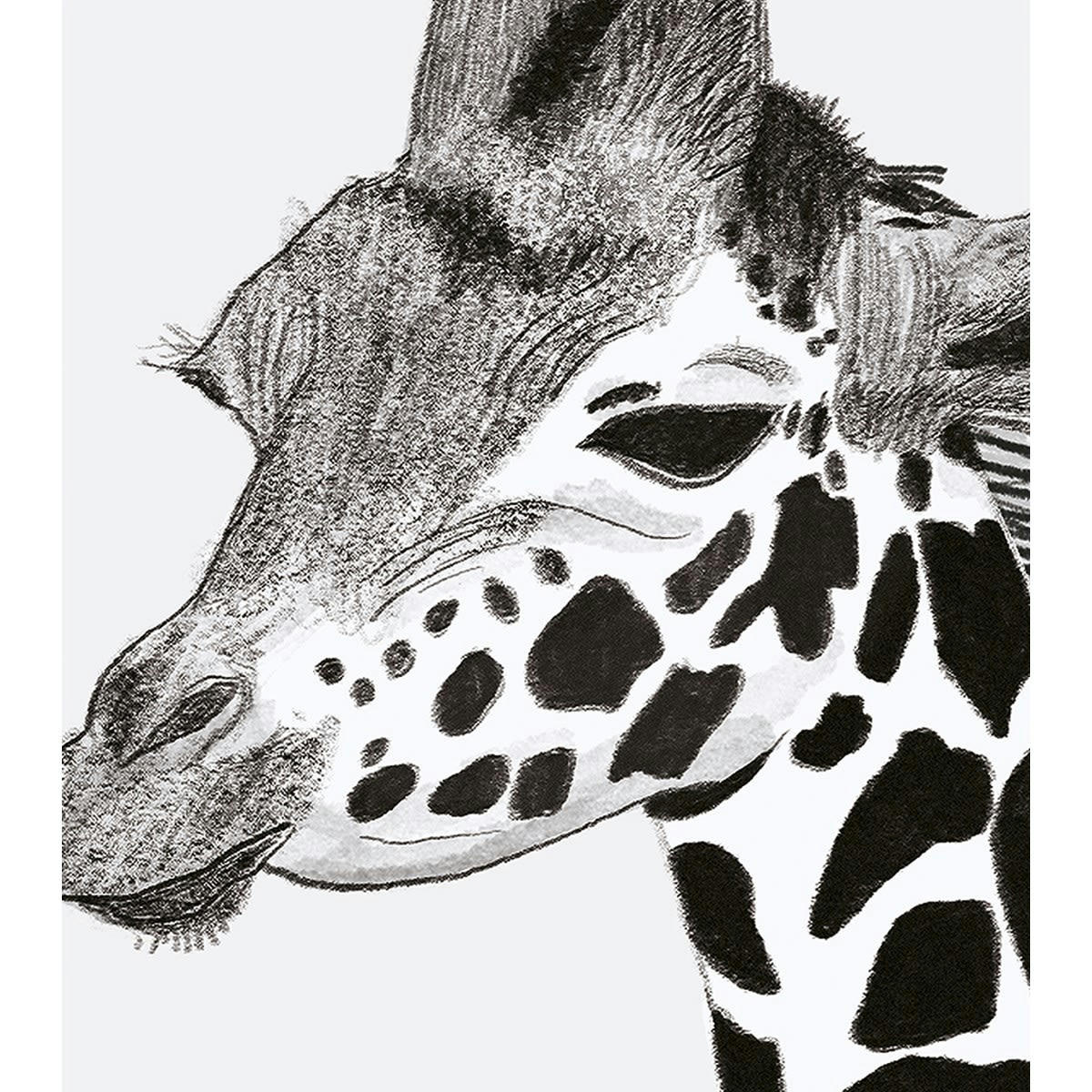 SERENGETI - Affiche girafe en Papier Noir