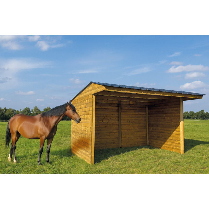 Abri pour cheval 6 x 2,92 x 2,77 m SOLID