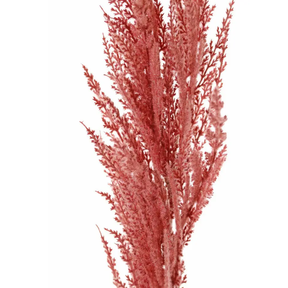 TopArt Pampasgras kunst pluim steel/tak - oudroze - 100 cm