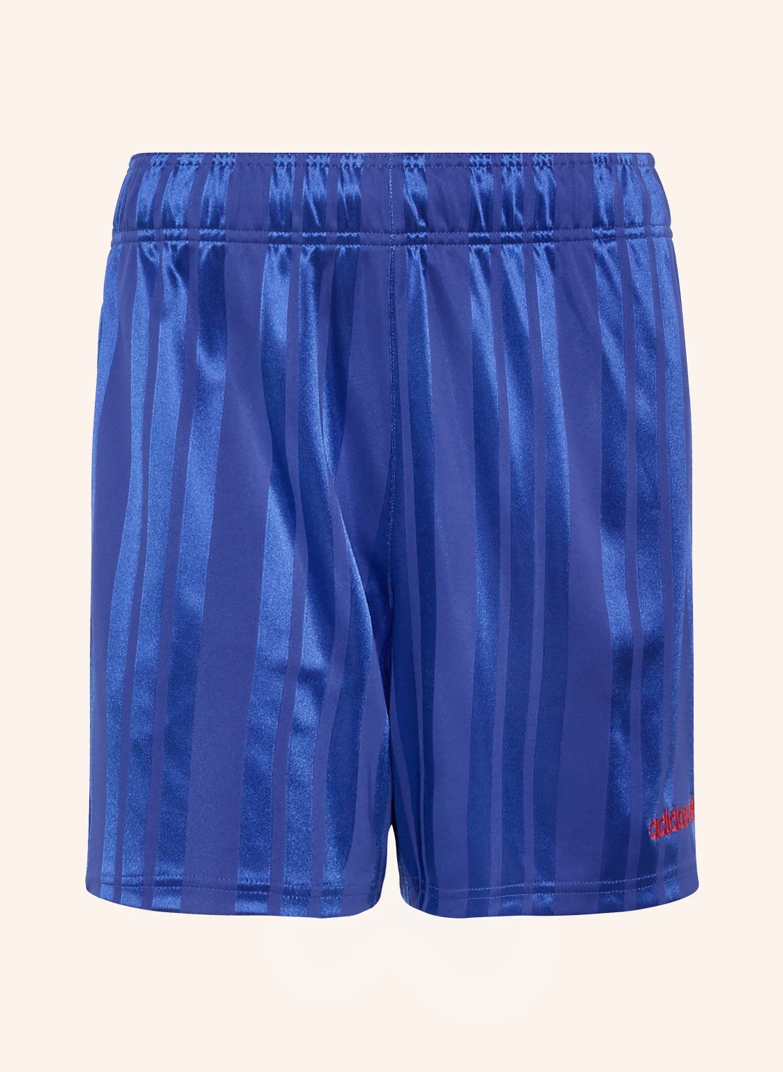 adidas Shorts JAPAN EQUIPMENT