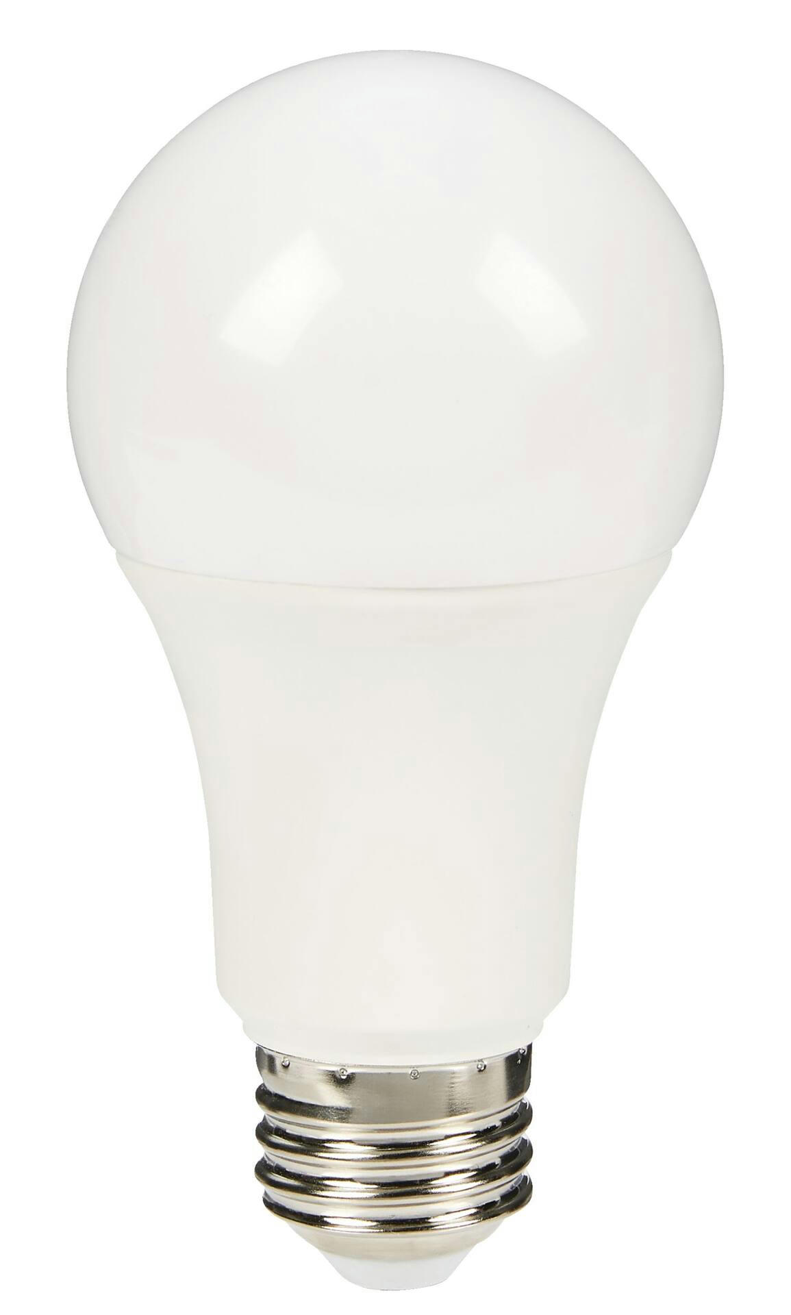 NOMA A19 E26 Base Non-Dimmable LED Light Bulbs, 5000K, 1500 Lumens, Daylight, 100W, 8-pk