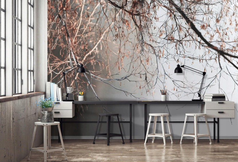 Fototapeta gałęzie beton szary natura na ścianę sypialnia salon 250x175