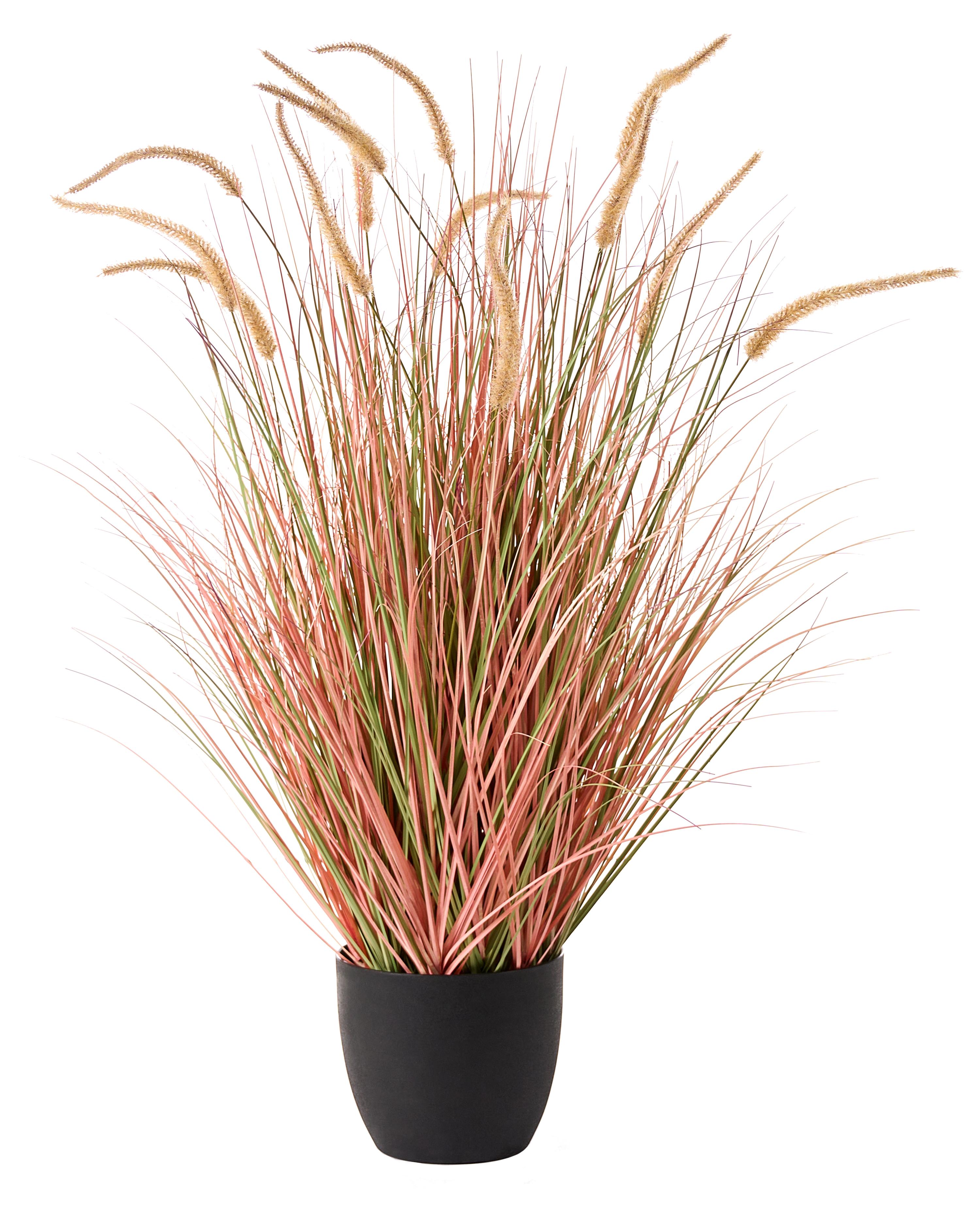 Artificial Plant BRISTLEGRASS 120 cm Orange