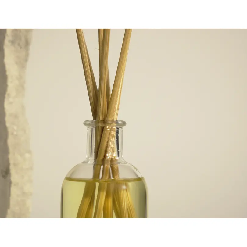 Diffusor THE OLFACTORY