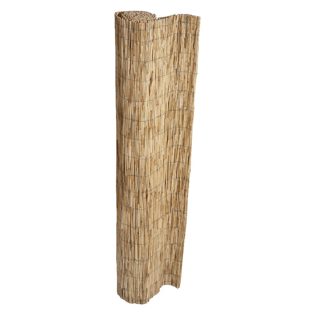 Canisse en paillon de roseaux pelés L500 x H150 cm