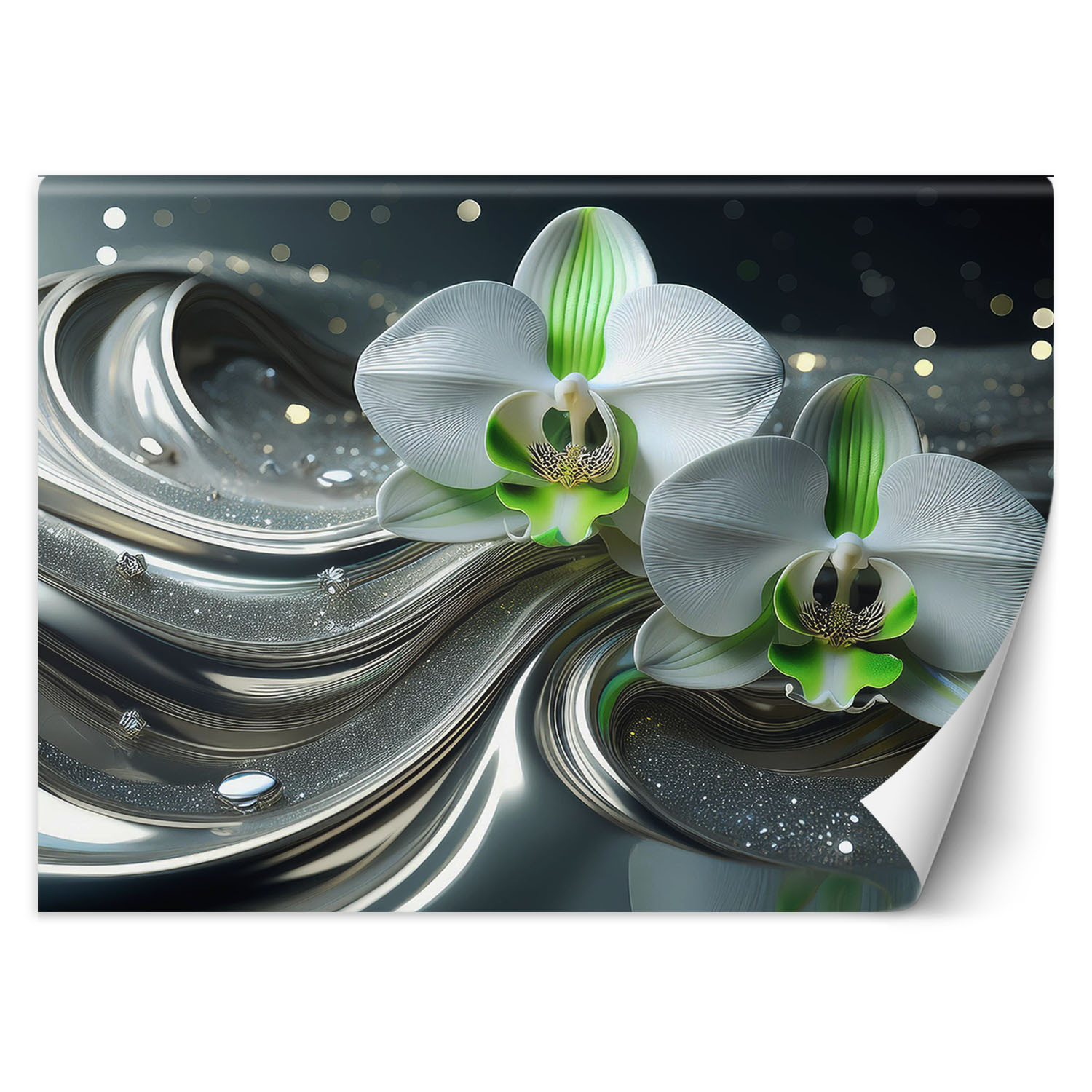 Feeby Fototapeta Kwiat abstrakcji orchidei