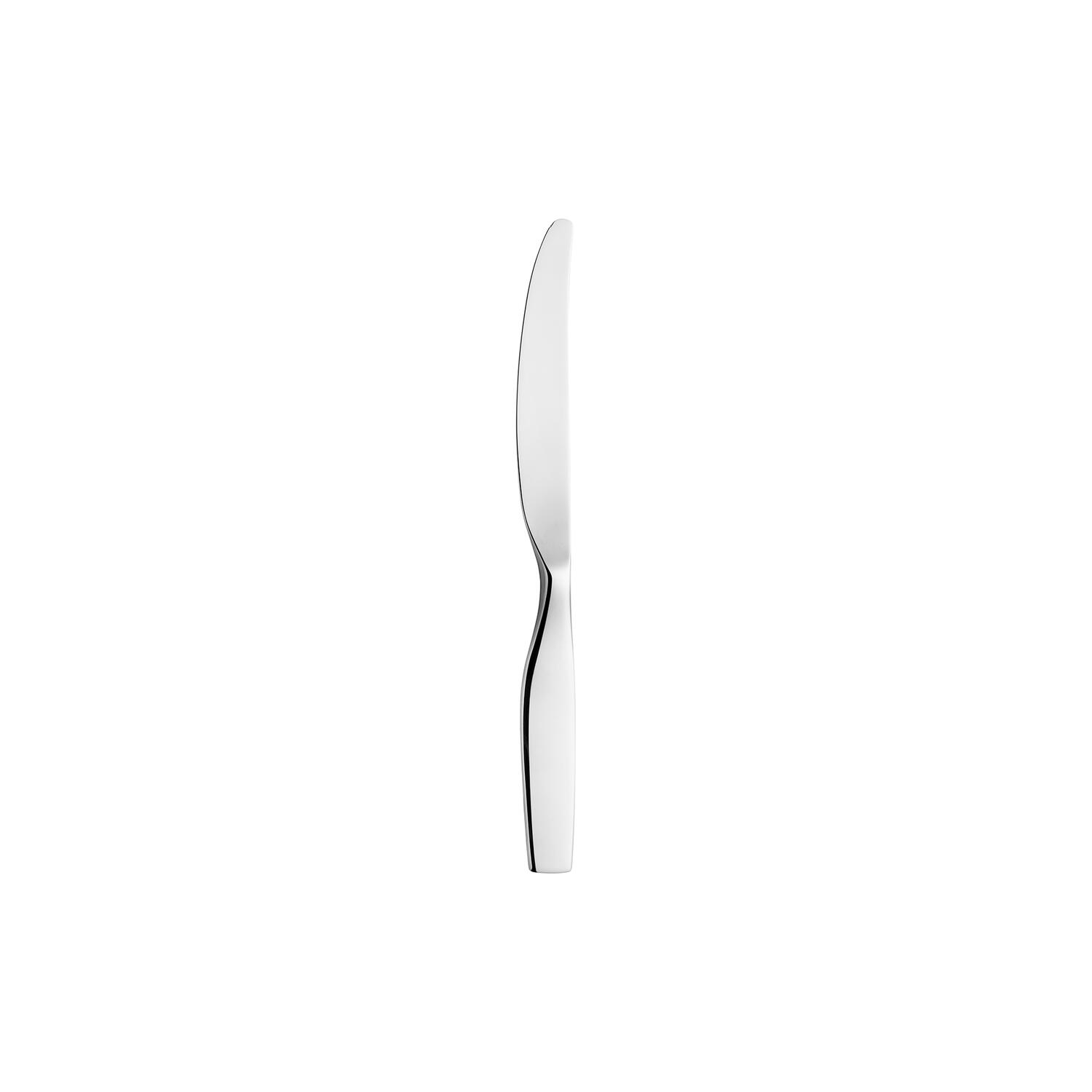 Citterio 98 middagskniv, blank