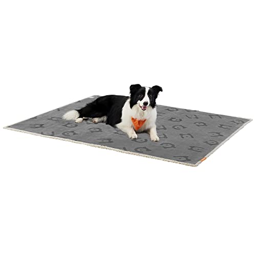 Couverture Chien