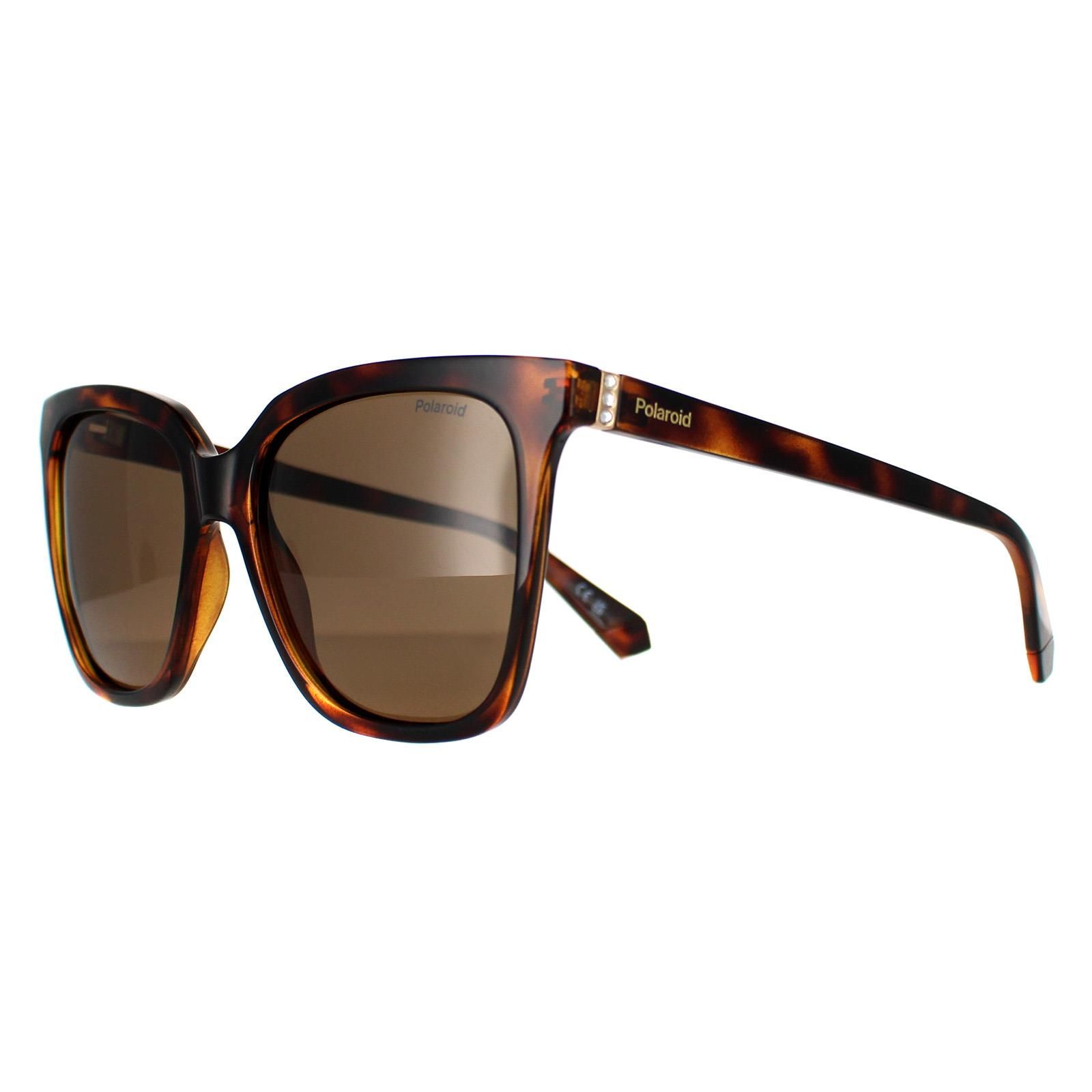 Polaroid Square Havana Bronze Polarized PLD 4155/S/X