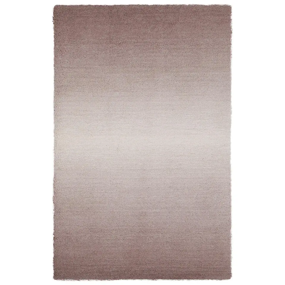Dutch Lifestyle - Polyester - Vloerkleed - 160x230cm - Beige