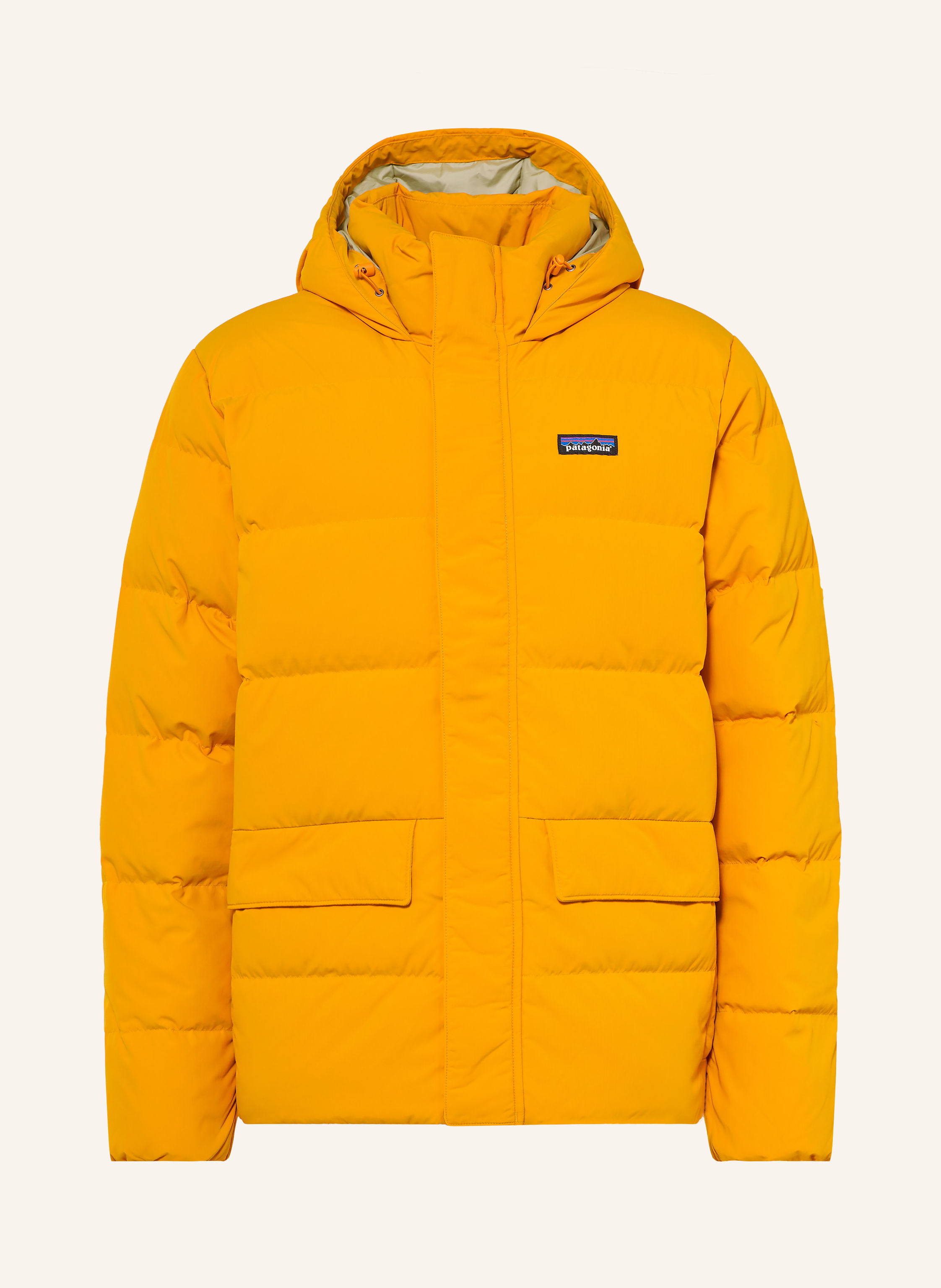 patagonia Daunenjacke SISAR