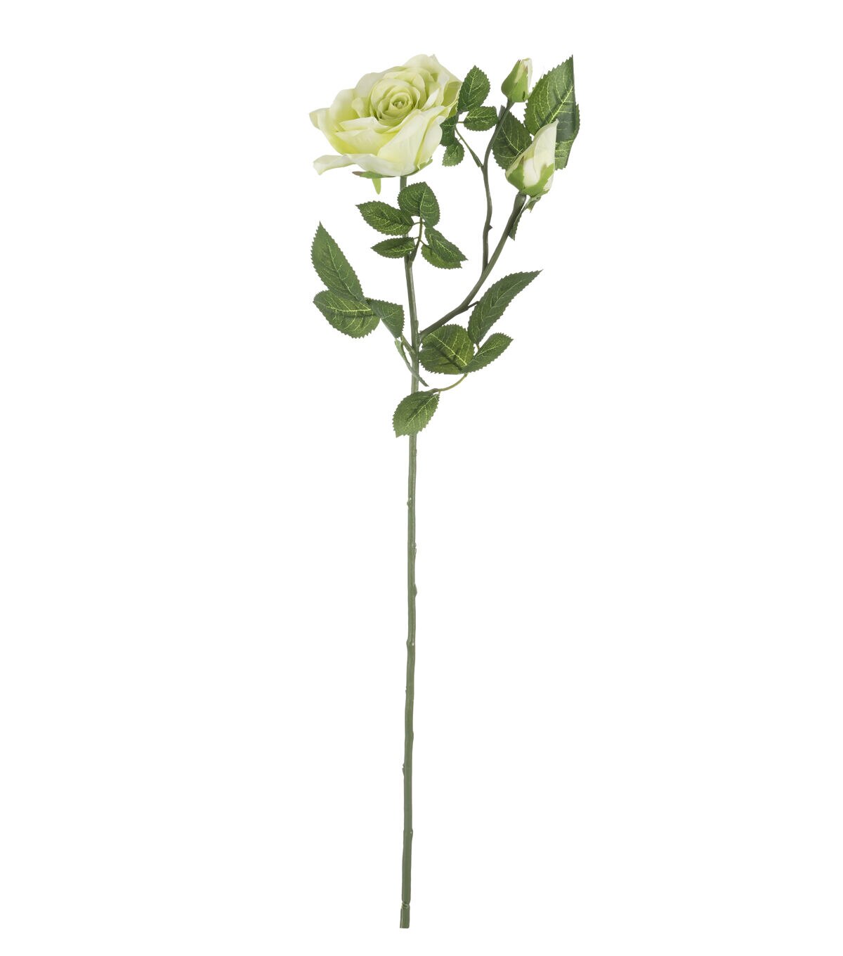 26.5 Green Rose & Bud Stem by Bloom Room