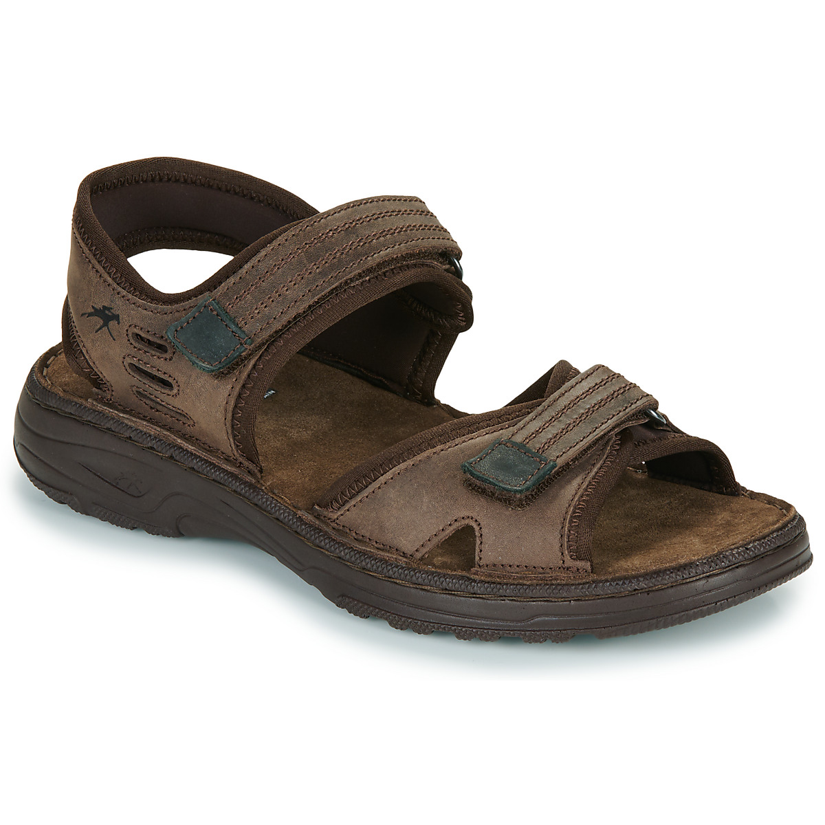 Fluchos - AZORES - Brown