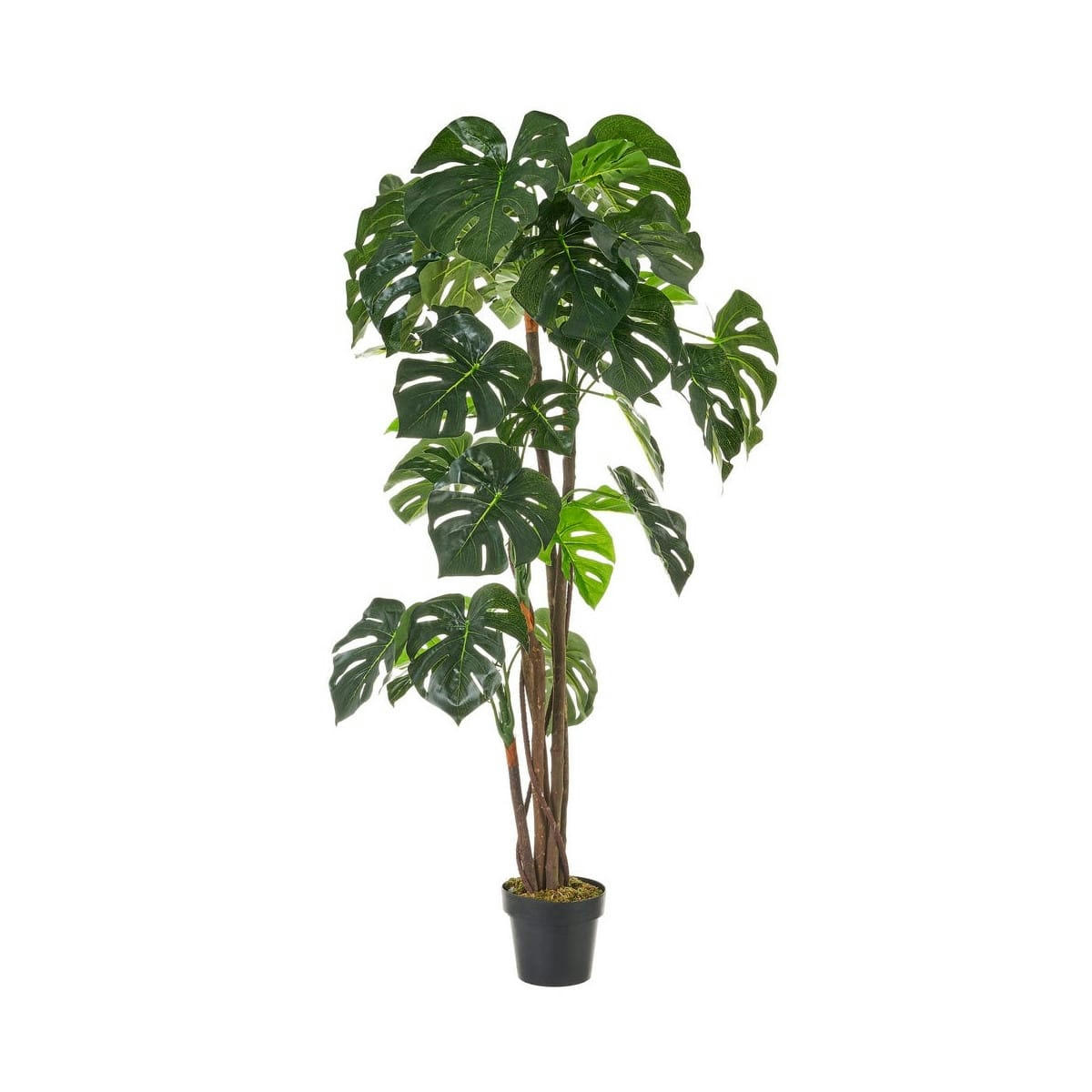 - Plante artificielle d'intérieur monstera H170cm