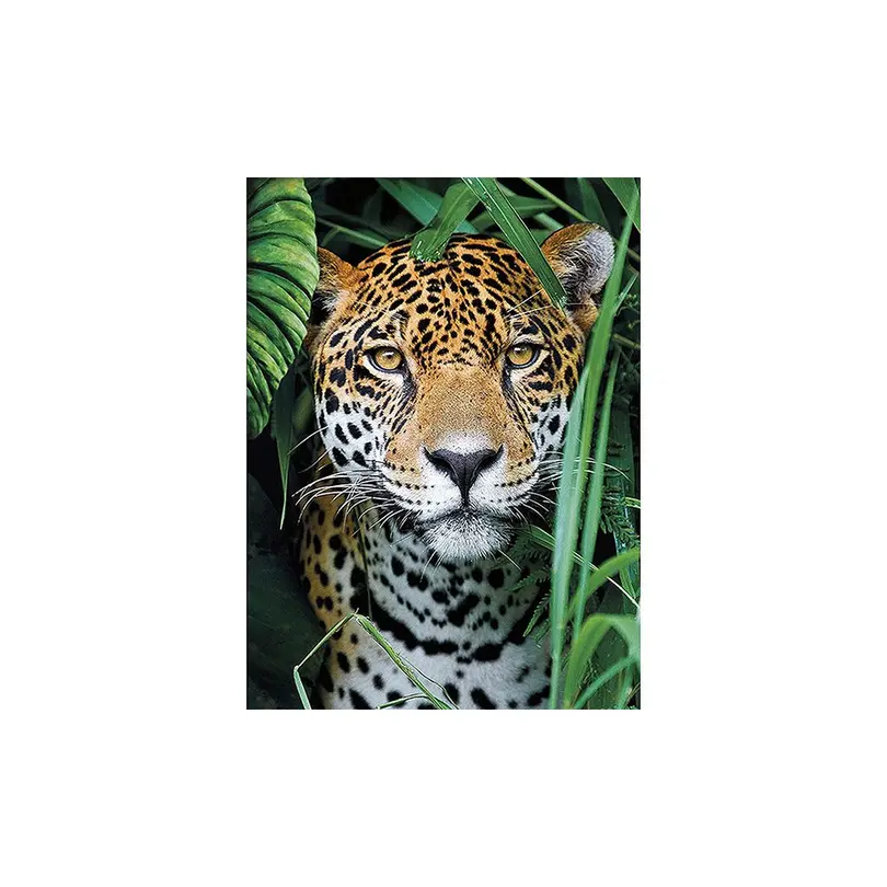 Puzzle Clementoni