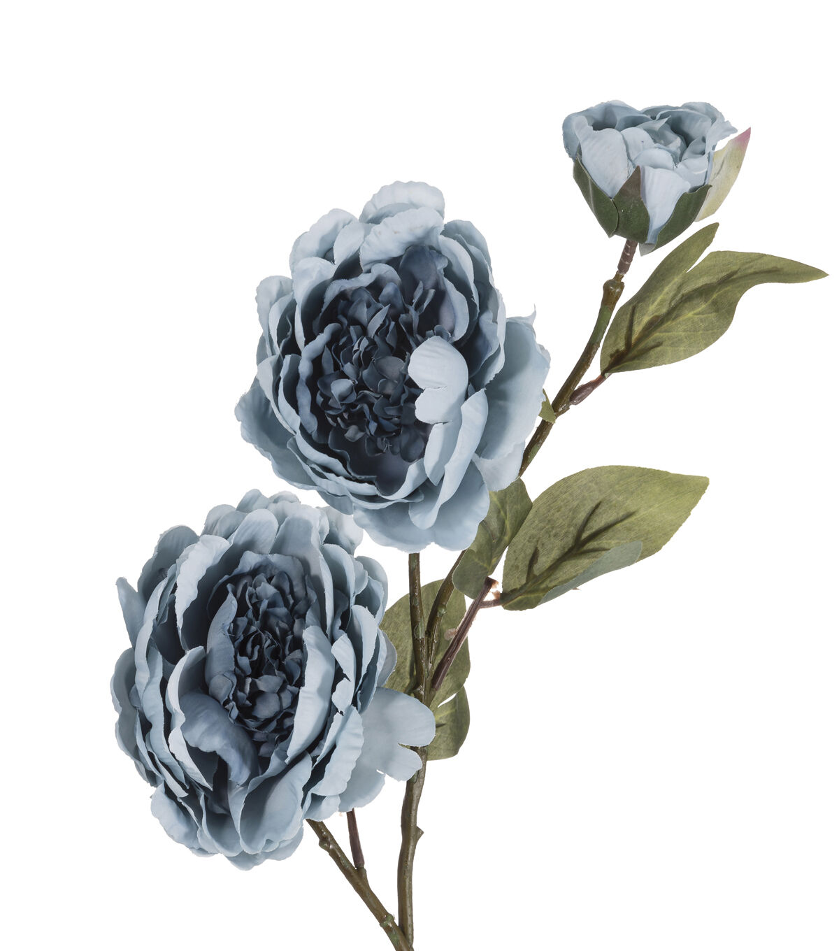 27 Denim Blue Peony Stem by Bloom Room
