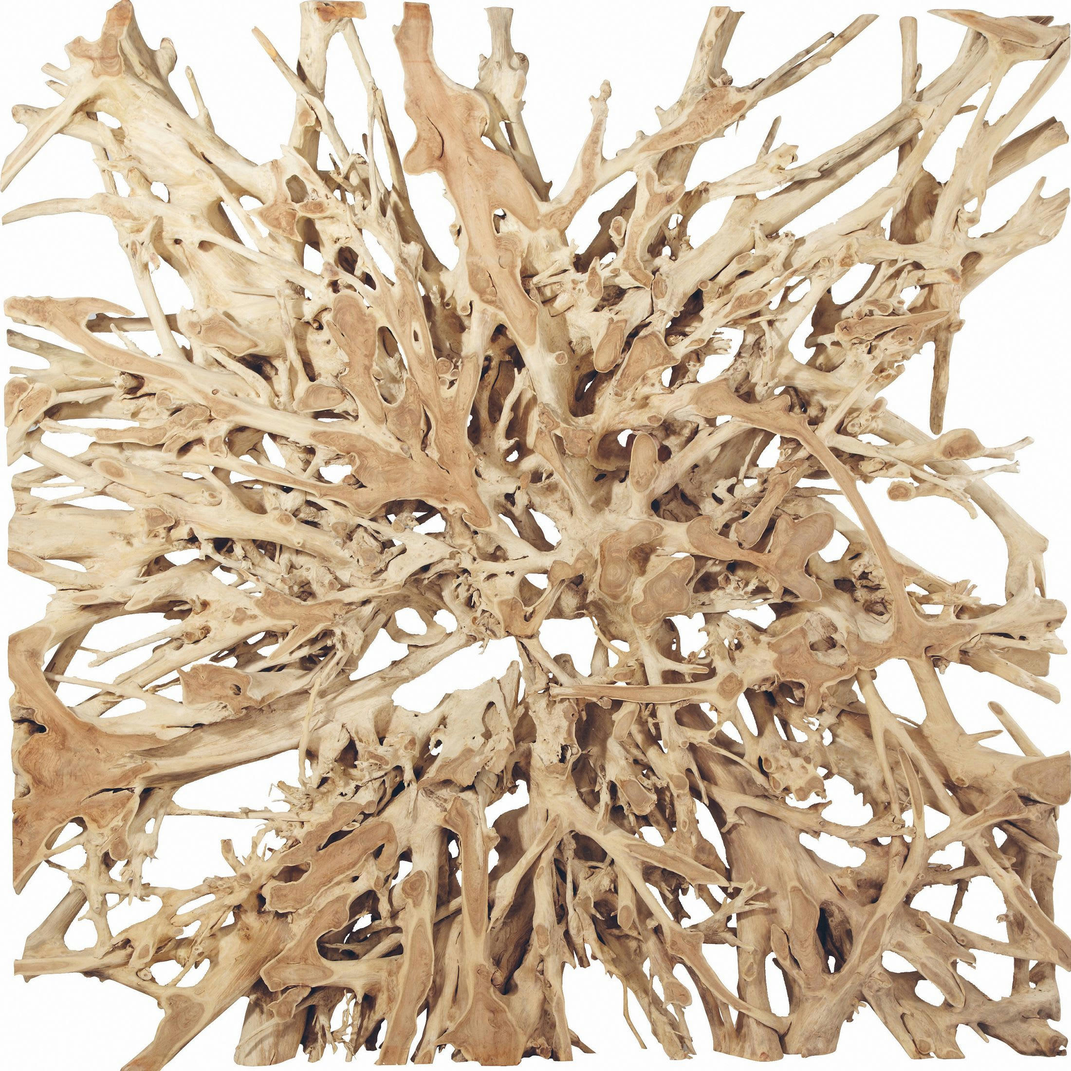 - Décoration murale véritable en racine de teck couleur naturelle 160cm