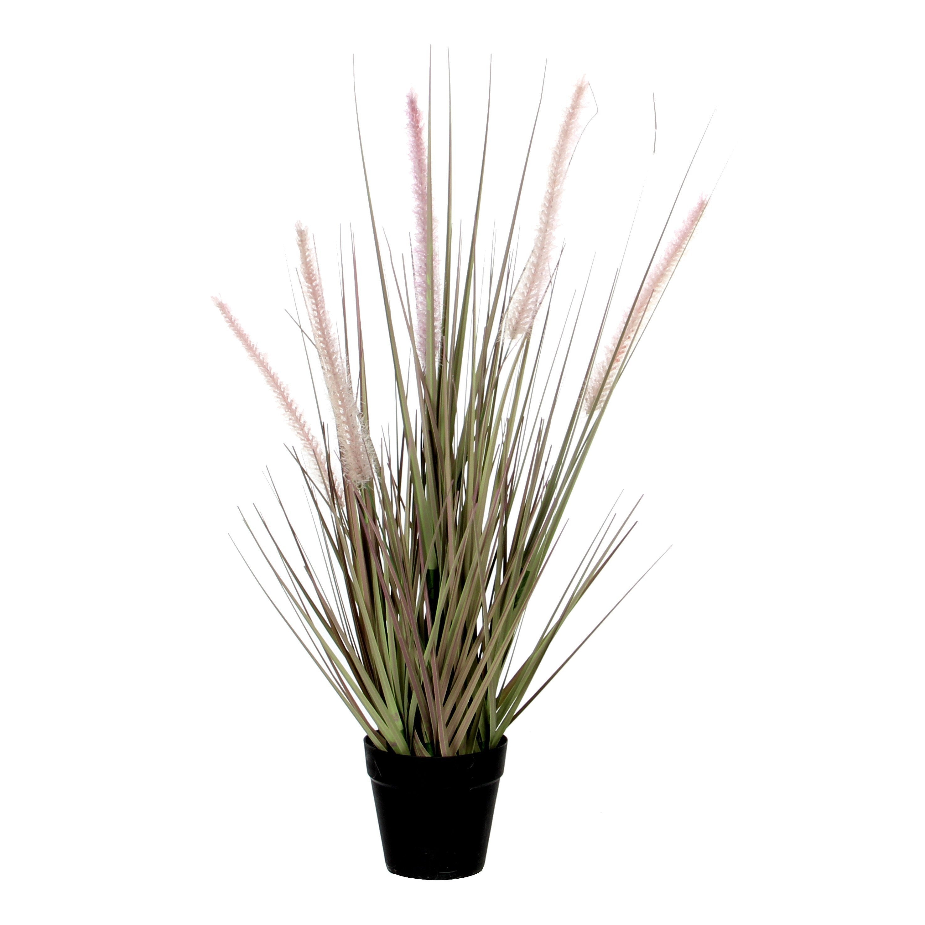 Mica Decorations Dogtail Gras Kunstplant - H53 x Ø30 cm - Paars