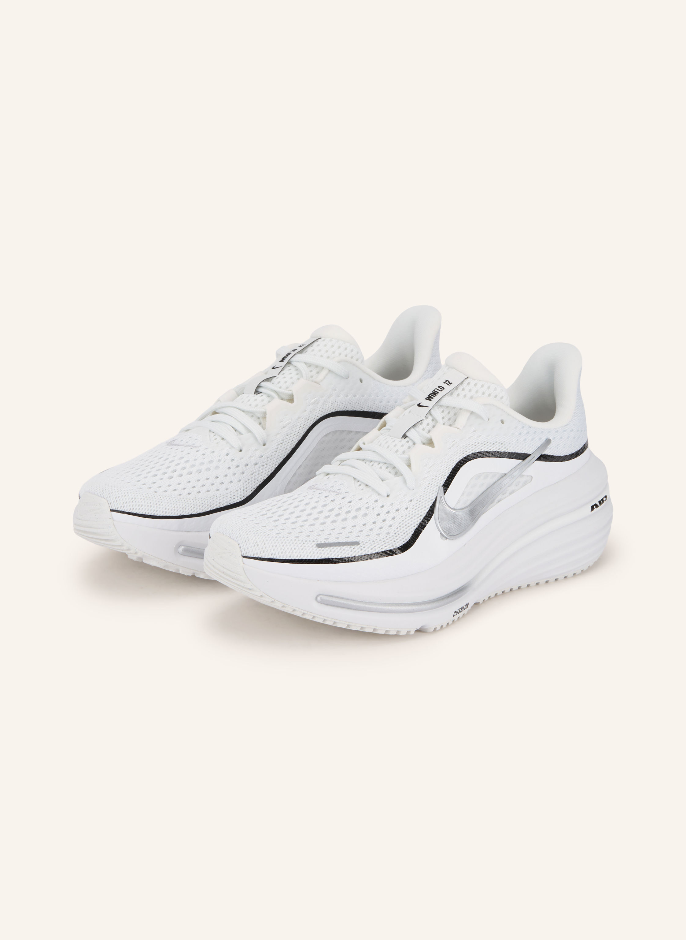 Nike Laufschuhe WINFLO 12