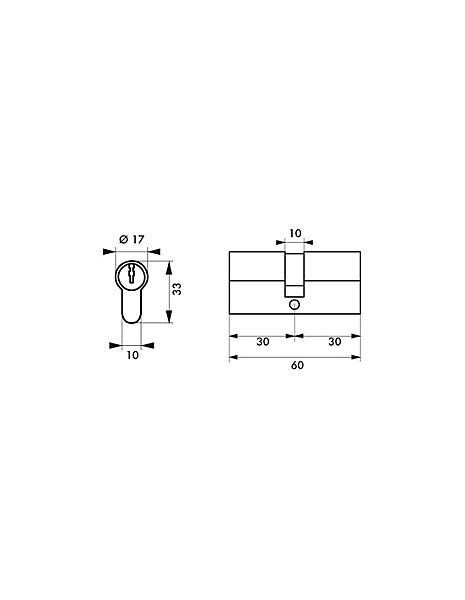 Cylindre de serrure double entrée HG5 , 30x30mm, nickel, anti-arrachement, anti-perçage, anti-casse, 5 clés - THIRARD