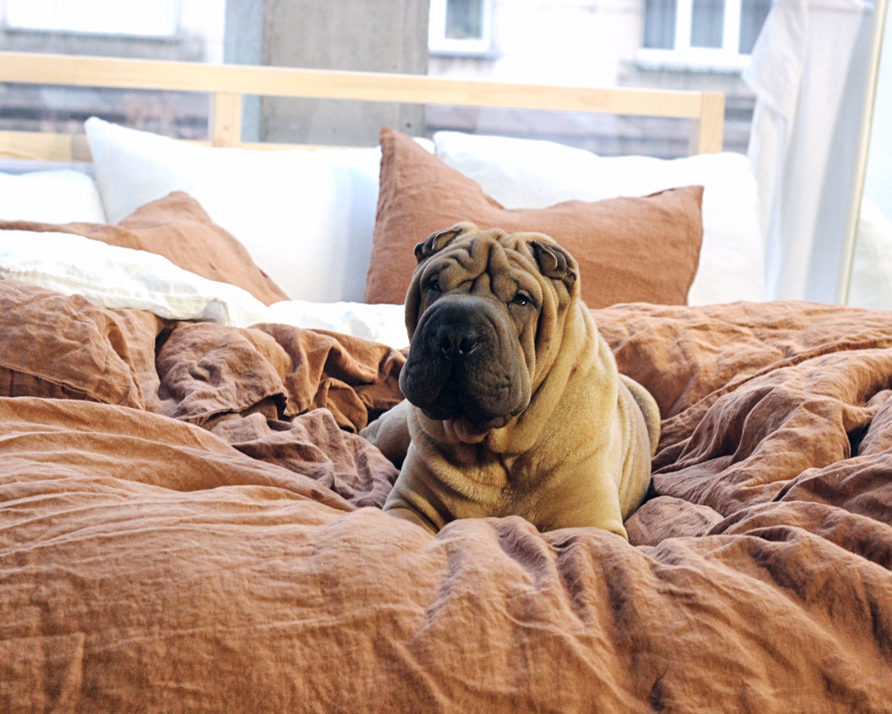 3 Piece Linen Bedding Set: Tobacco Duvet Cover & Pillow Cases