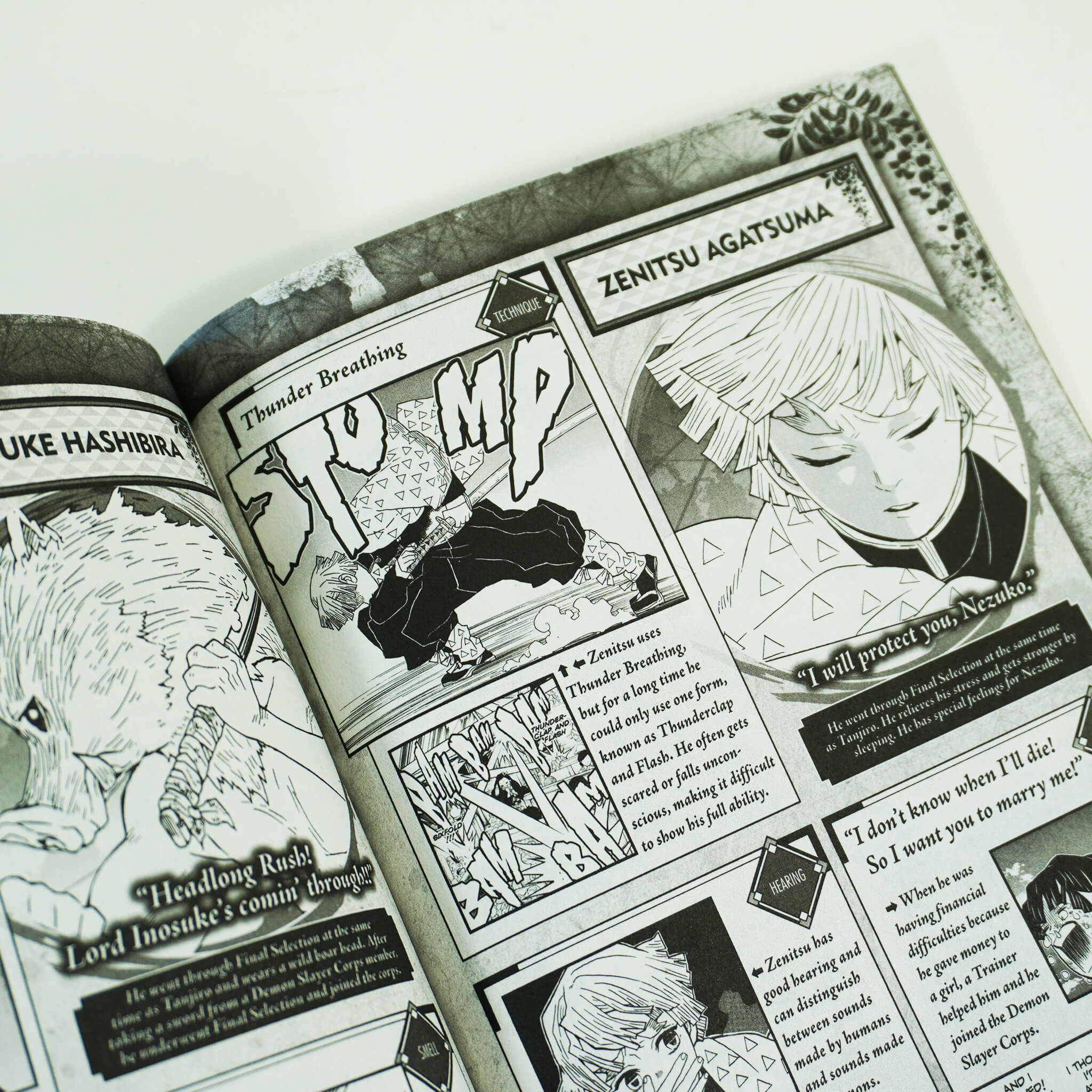 Demon Slayer by Koyoharu Gotouge: Vol. 1-23 Complete Box Set - Ages 14+ - Paperback