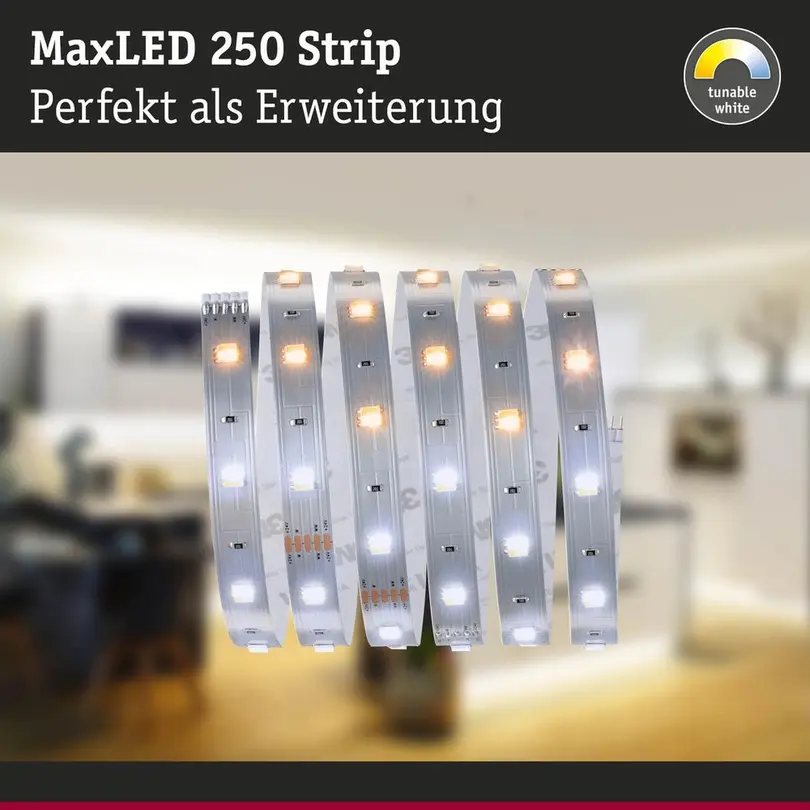 Lichtstreifen Paulmann