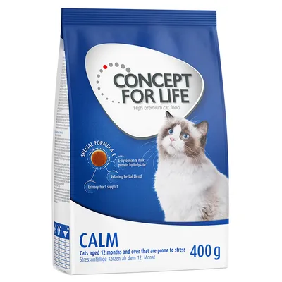 Concept for Life Calm