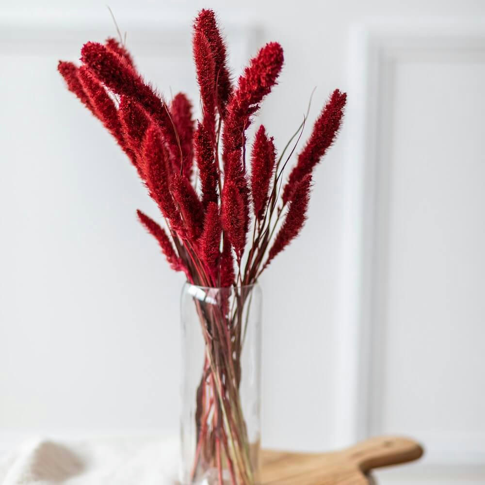 - Botte sétaire rouge