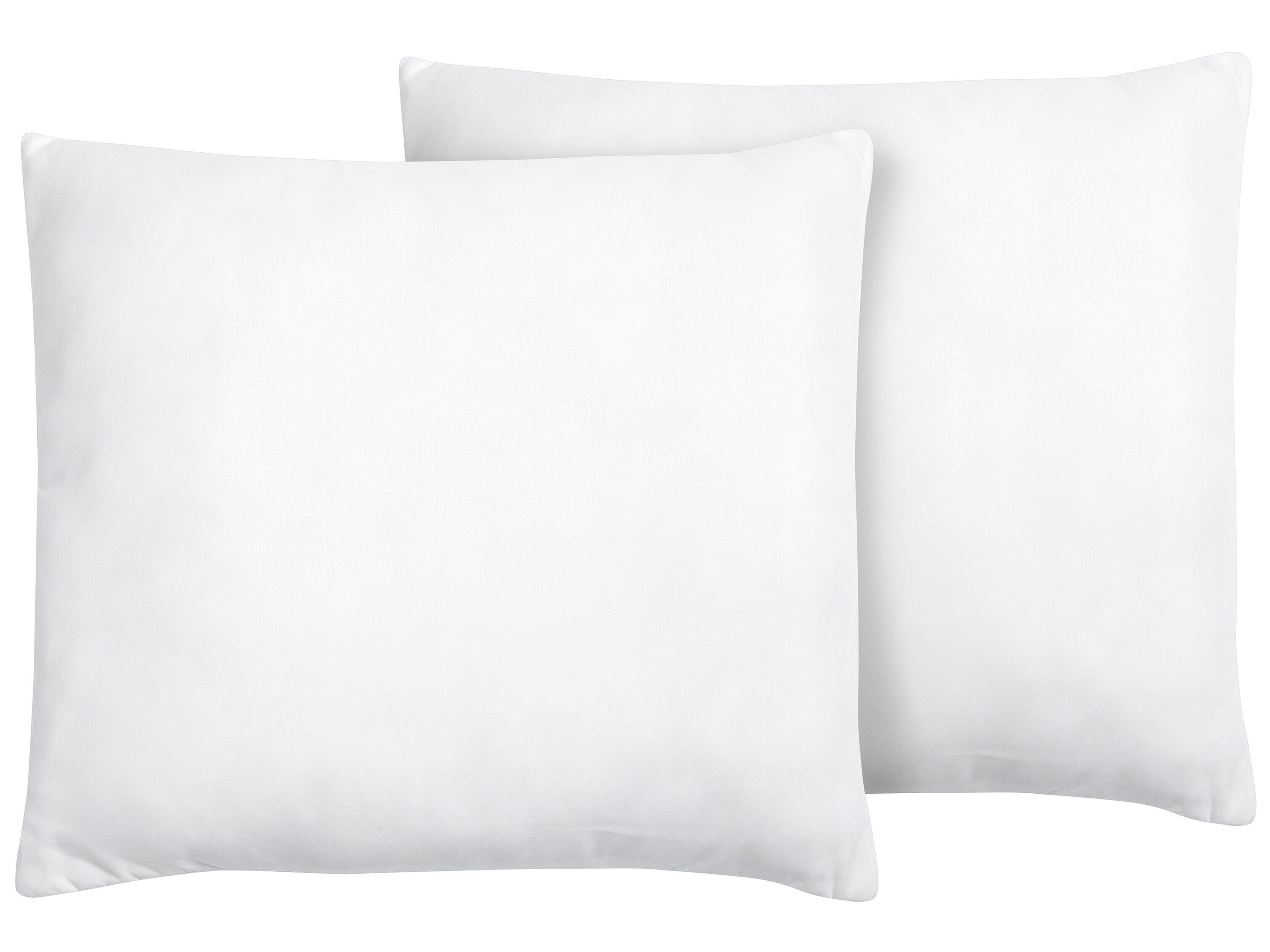 Set of 2 Bed Pillows ERRIGAL Low Microfibre 80 x 80 cm White