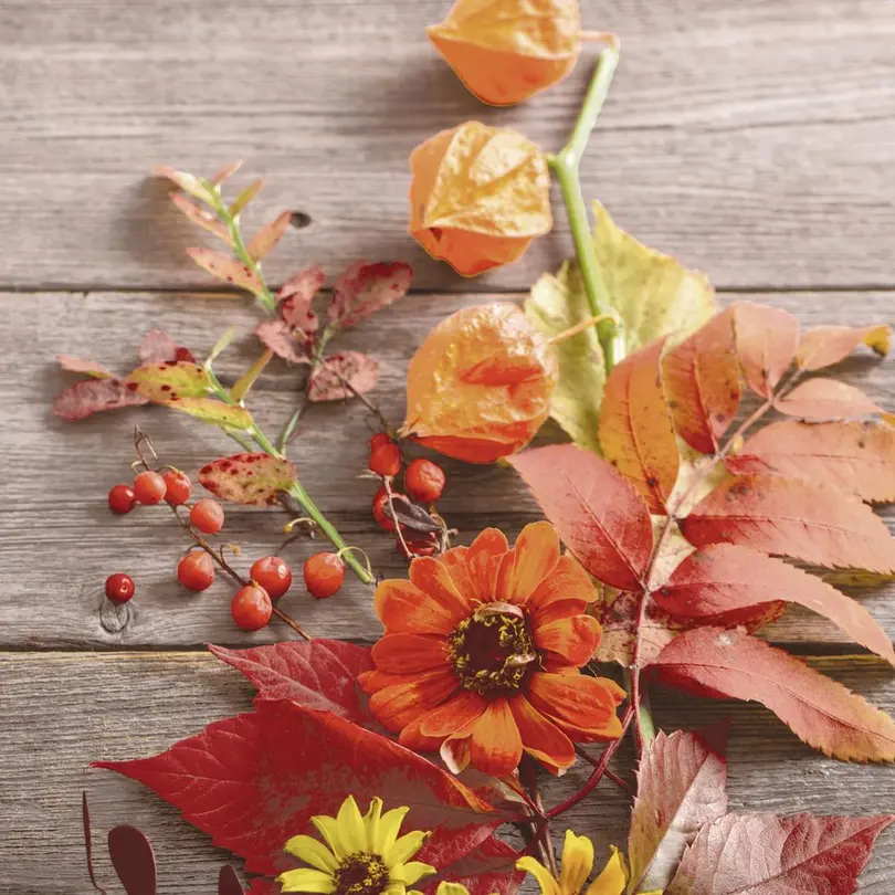 Serviette 20er-Set Rainy Leaves