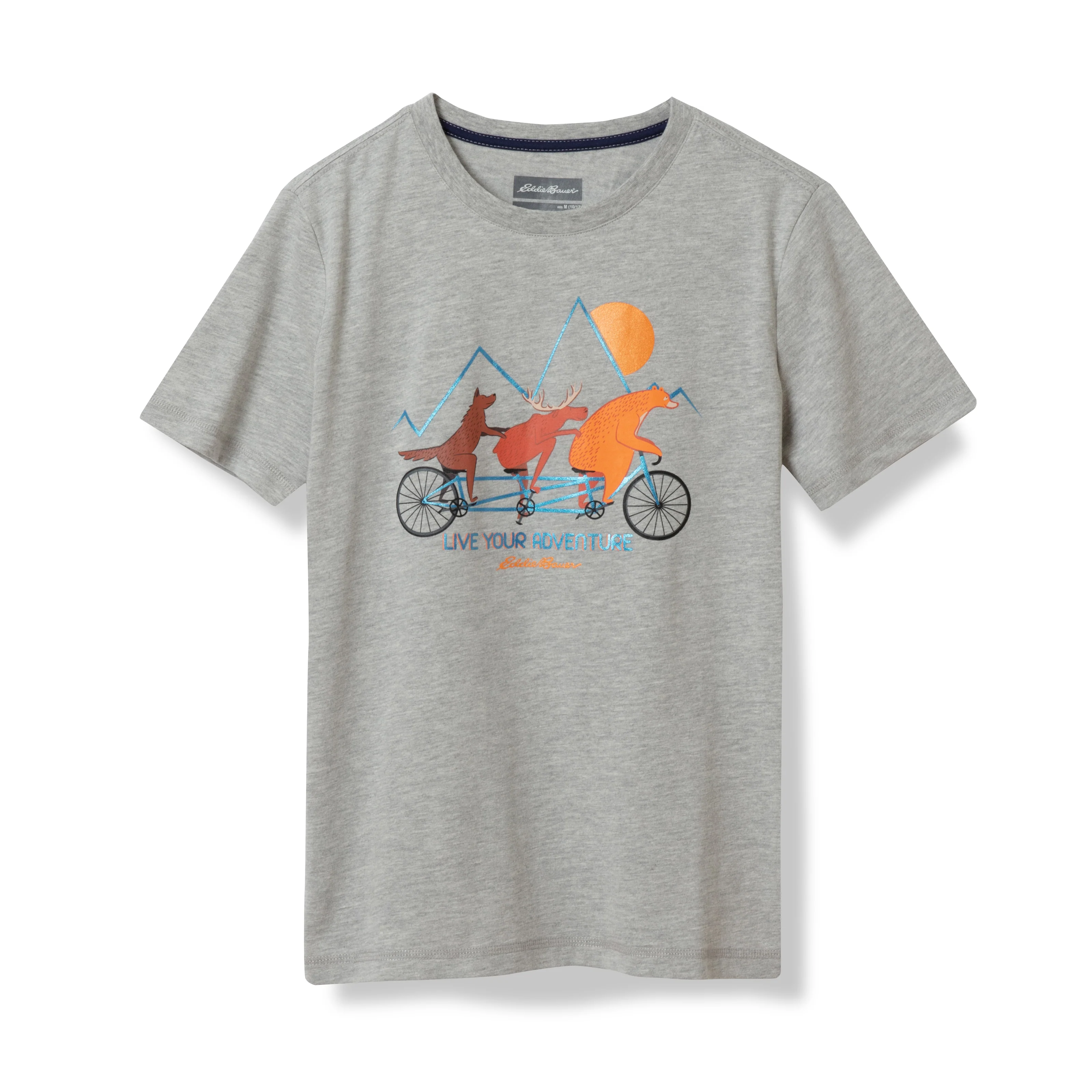 Boys Graphic T-Shirt