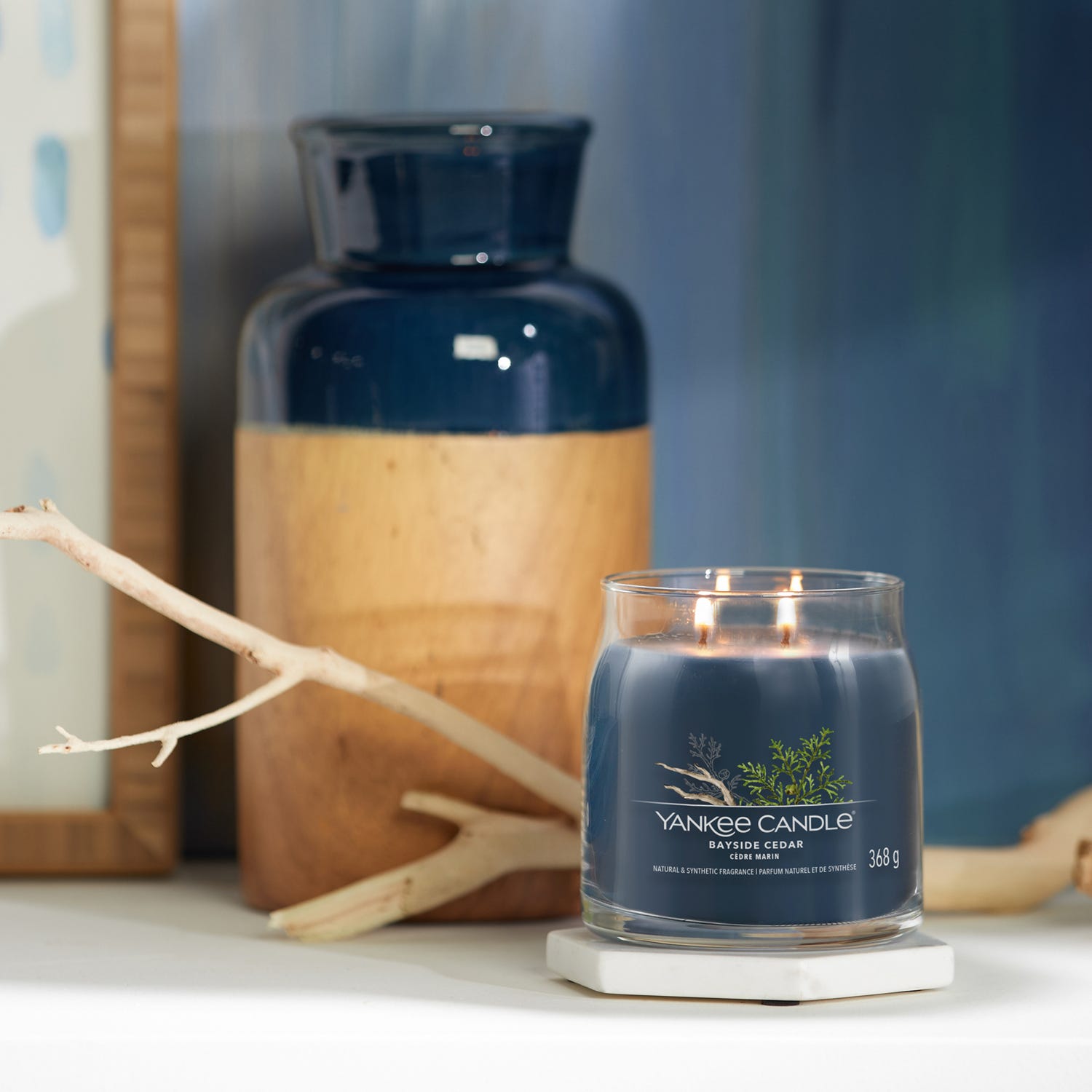 Bayside Cedar, candela in giara media Yankee Candle