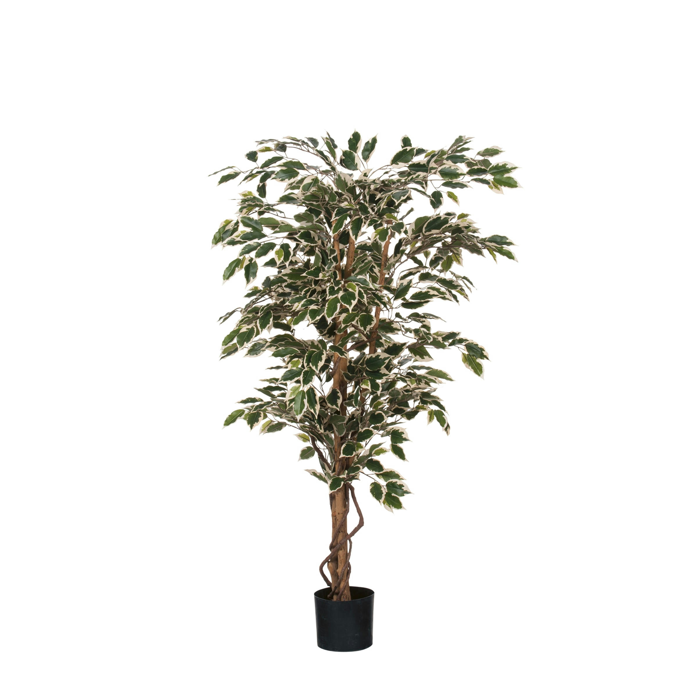 - Ficus artificielle vert panaché en pot H135