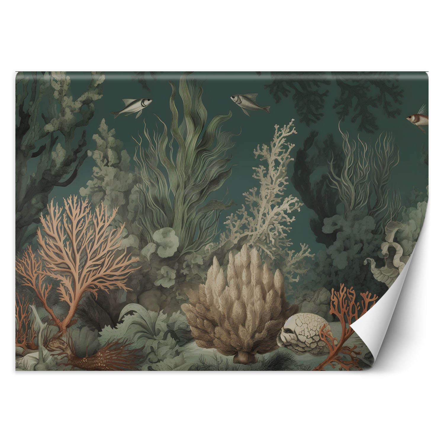 Feeby Fototapeta Koralowce i ryby 150x105