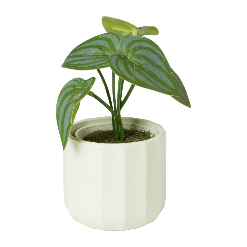 Bloempotje streep - groen - &Oslash;7x6.5 cm