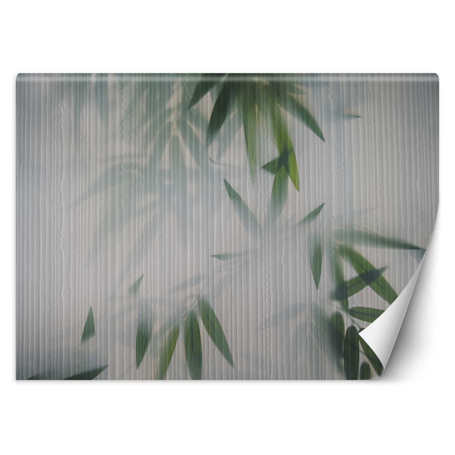 Feeby Fototapeta, Liście mgła natura 150x105