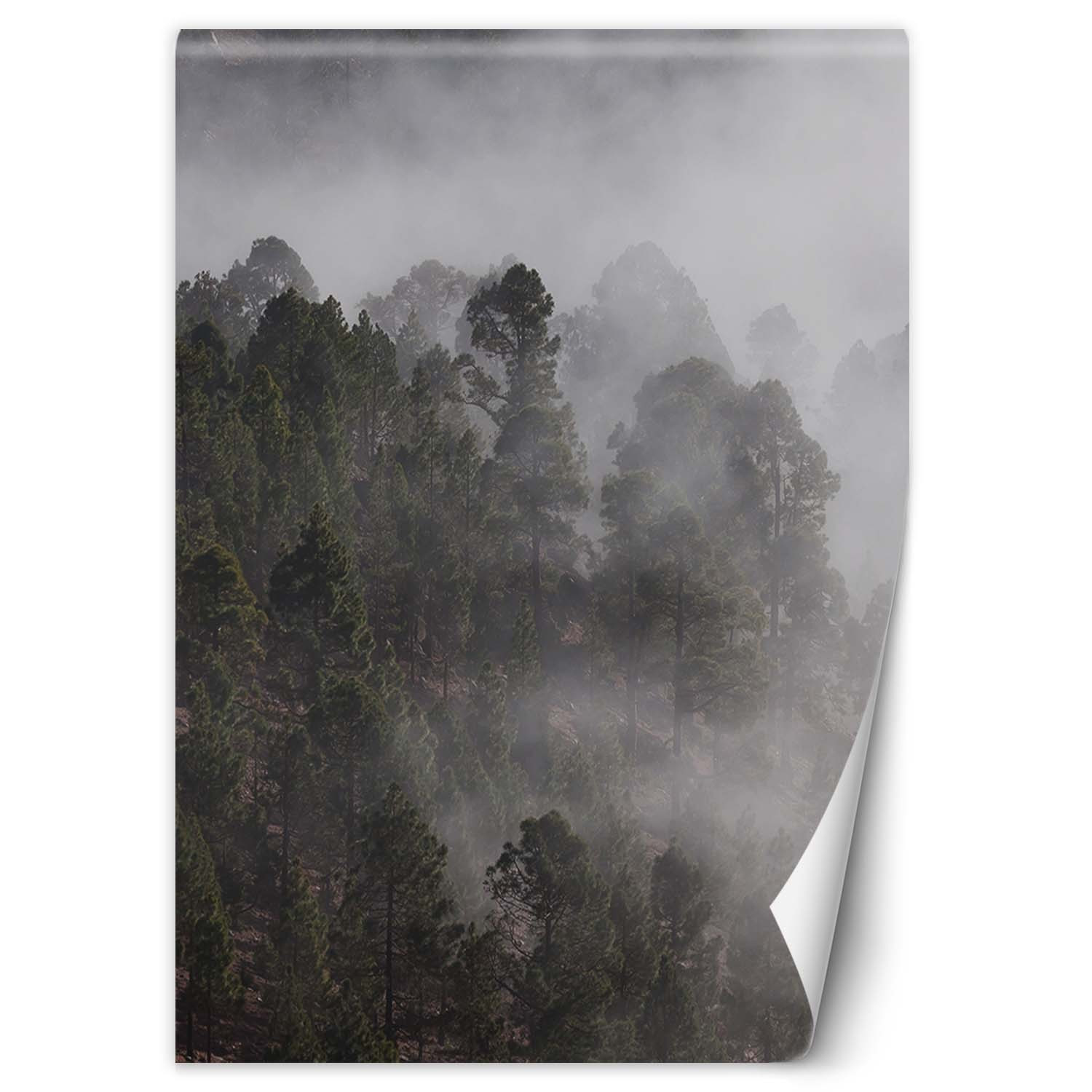 Feeby Fototapeta, Zielony las we mgle 100x140
