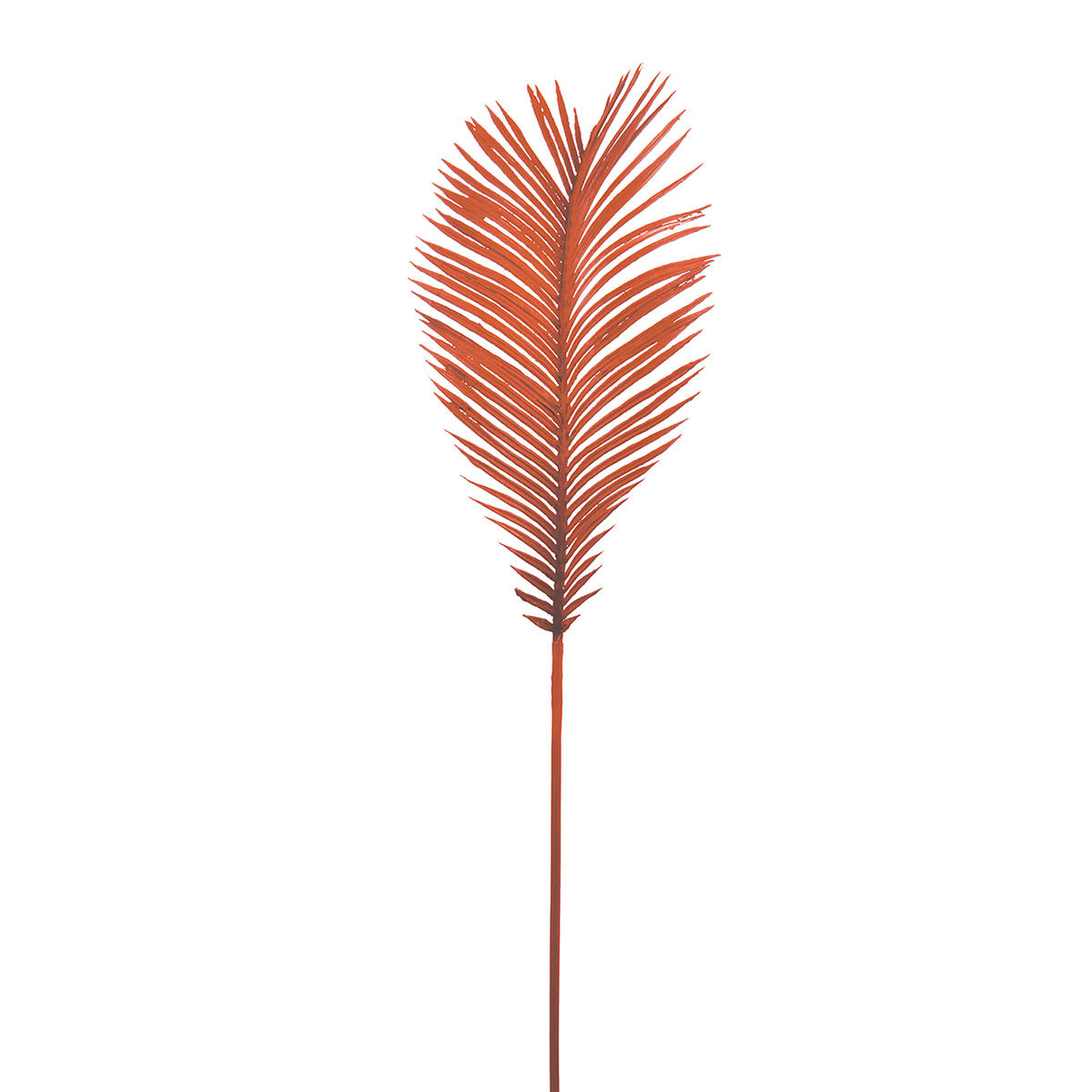FANCY - Tige de cycas fantaisie h50