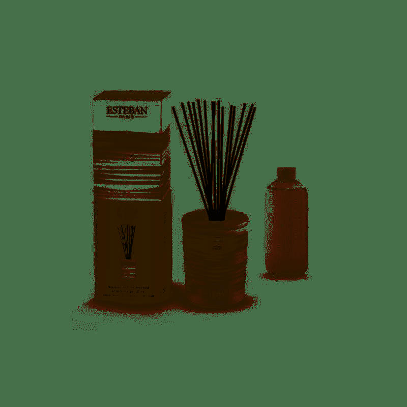 RÊVE BLANC - Bouquet parfumé déco 100ml