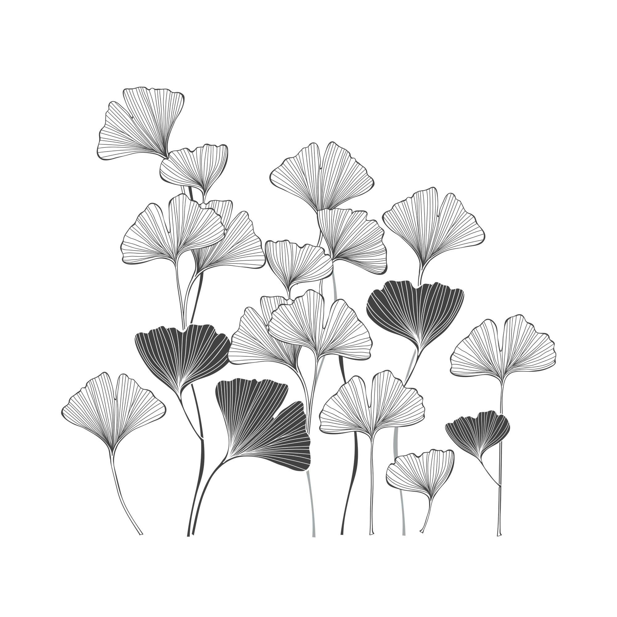 GINKGO - Stickers muraux ginkgo 55x60cm
