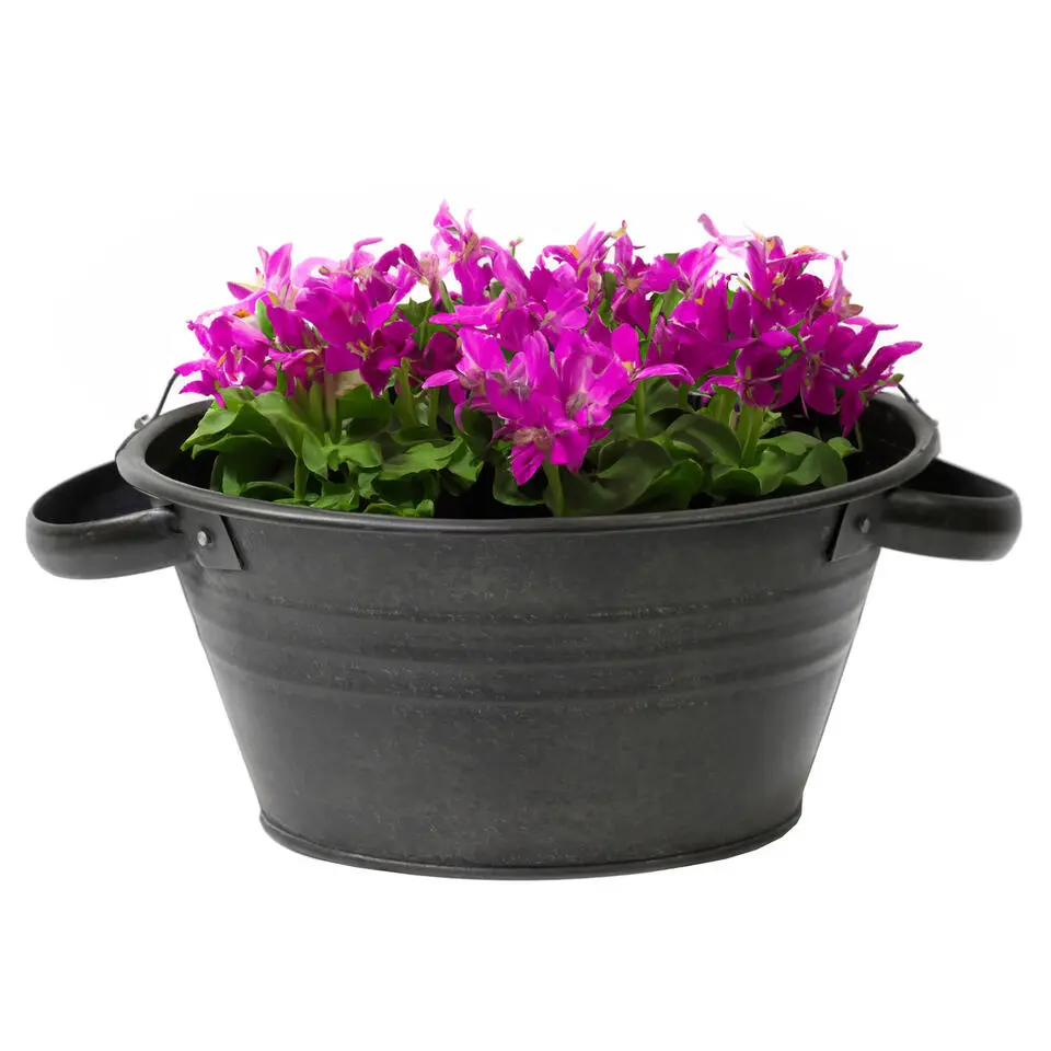 Mega Collections Teil Bloempot/plantenpot - zink - zwart - D40 cm